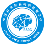 Digital Brain CEBSIT(ION)